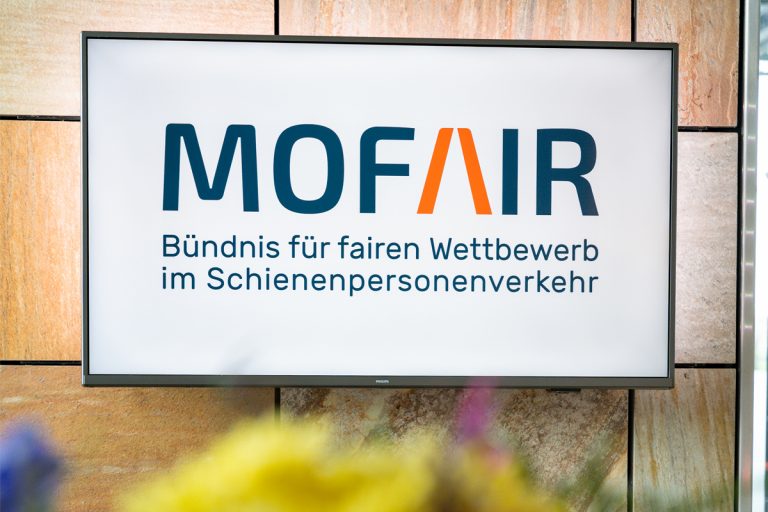 Sommerfest 2025-Bild 6